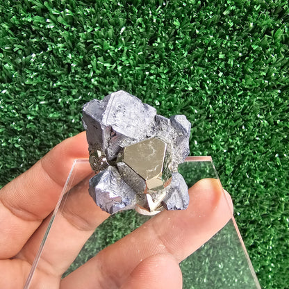 Galena with Pyrite octahedral