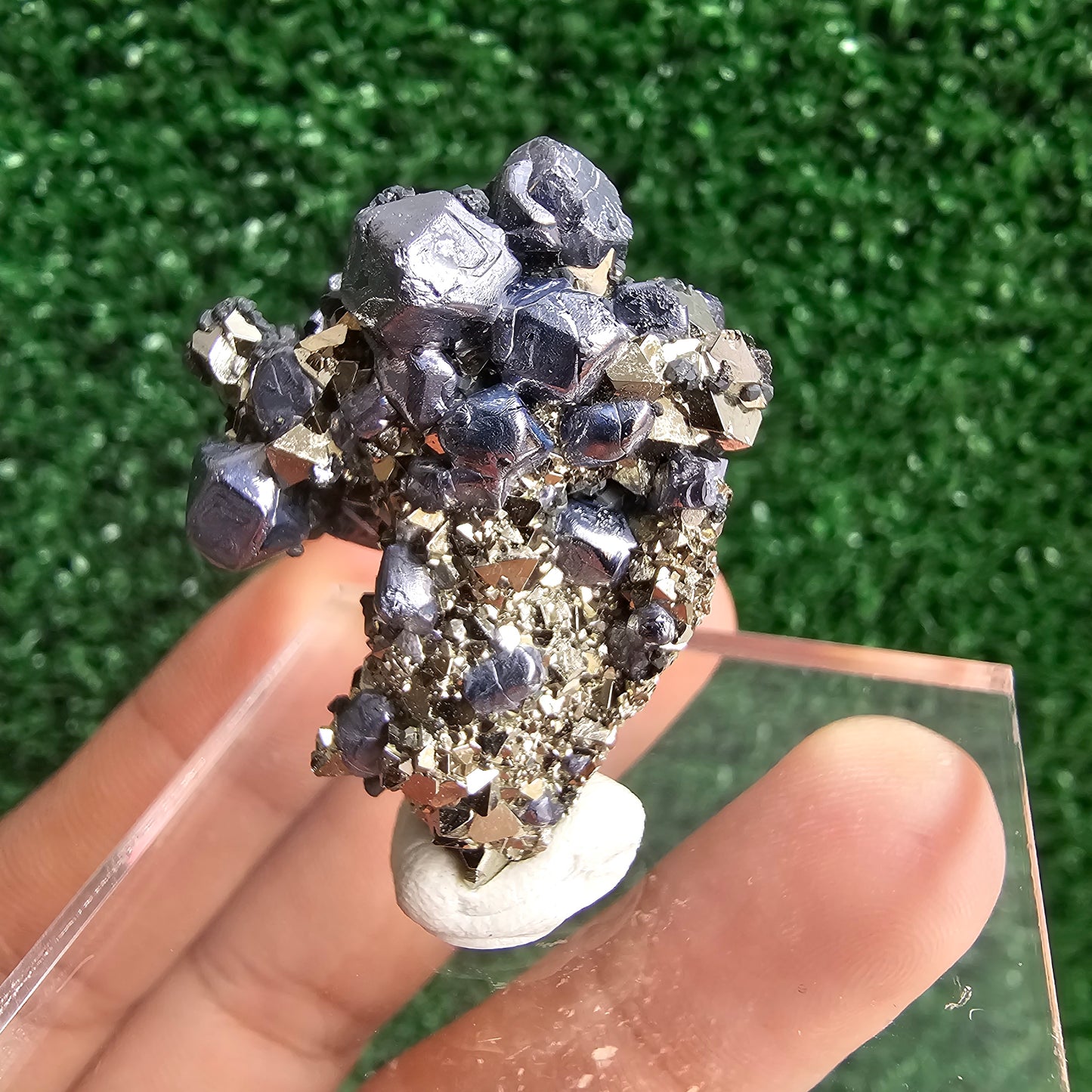 Galena with Pyrite octahedral