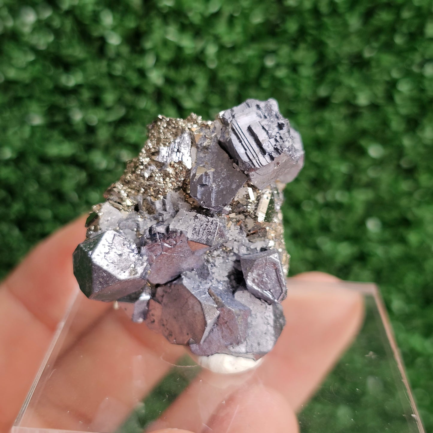 Galena with Pyrite octahedral