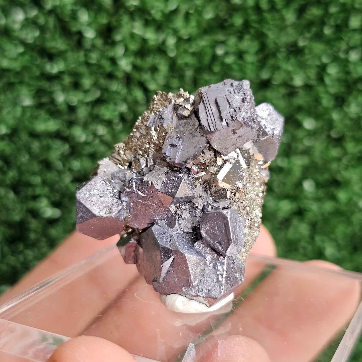 Galena with Pyrite octahedral