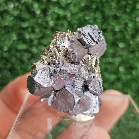 Galena with Pyrite octahedral