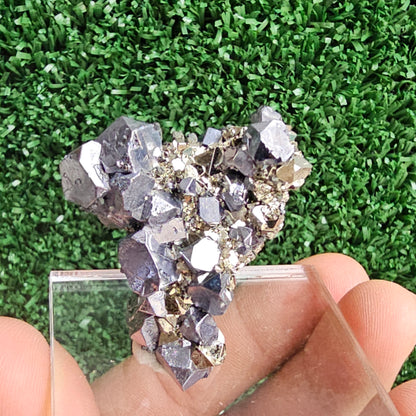 Galena with Pyrite octahedral