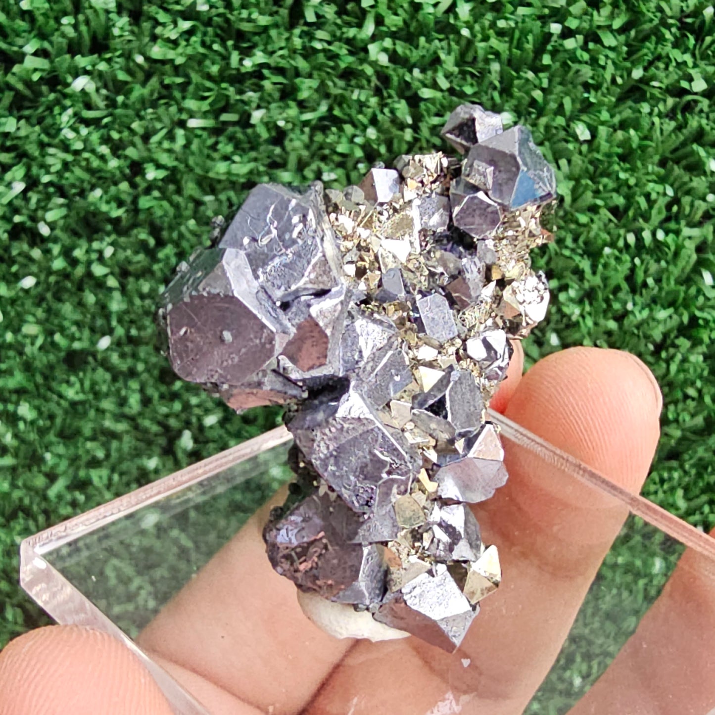 Galena with Pyrite octahedral