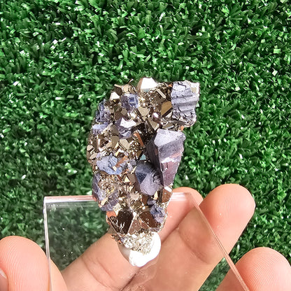 Galena with Pyrite octahedral