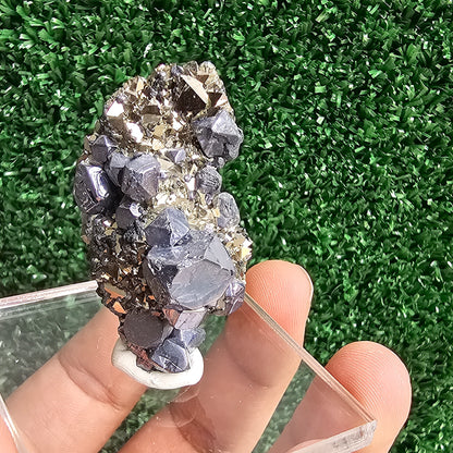 Galena with Pyrite octahedral