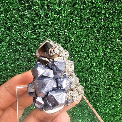 Galena with Pyrite octahedral