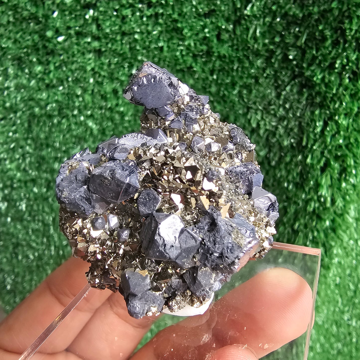 Galena with Pyrite octahedral