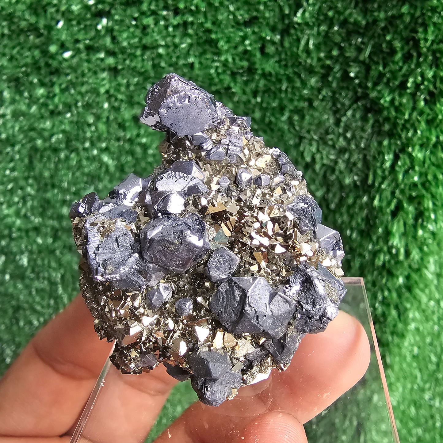 Galena with Pyrite octahedral