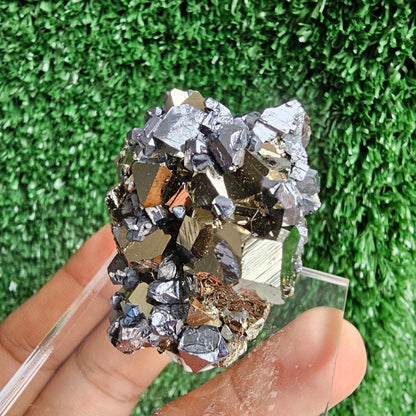 Galena with Pyrite octahedral