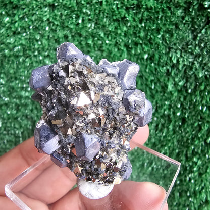 Galena with Pyrite octahedral