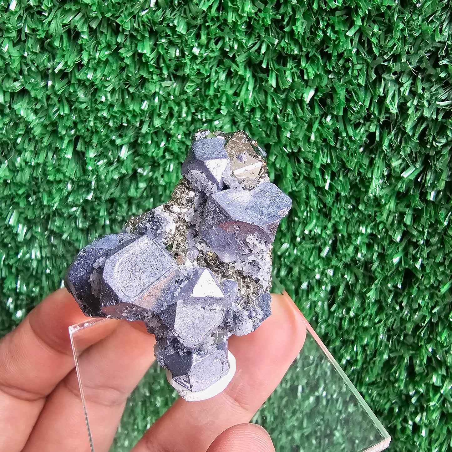 Galena with Pyrite octahedral