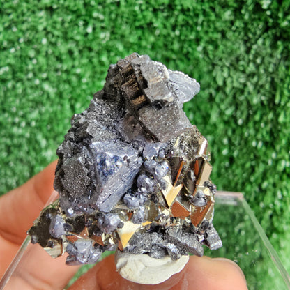 Galena with Pyrite octahedral