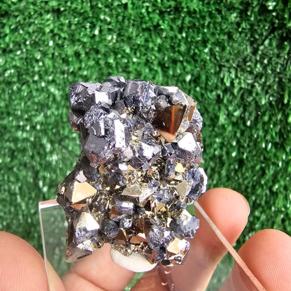 Galena with Pyrite octahedral