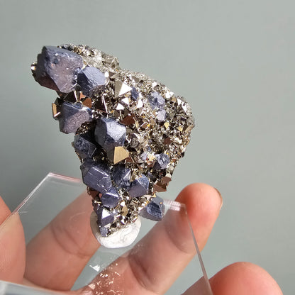 Galena with Pyrite octahedral