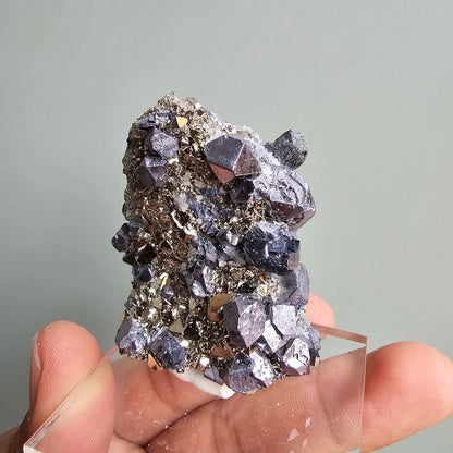 Galena with Pyrite octahedral