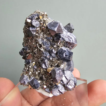 Galena with Pyrite octahedral