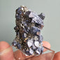 Galena with Pyrite octahedral