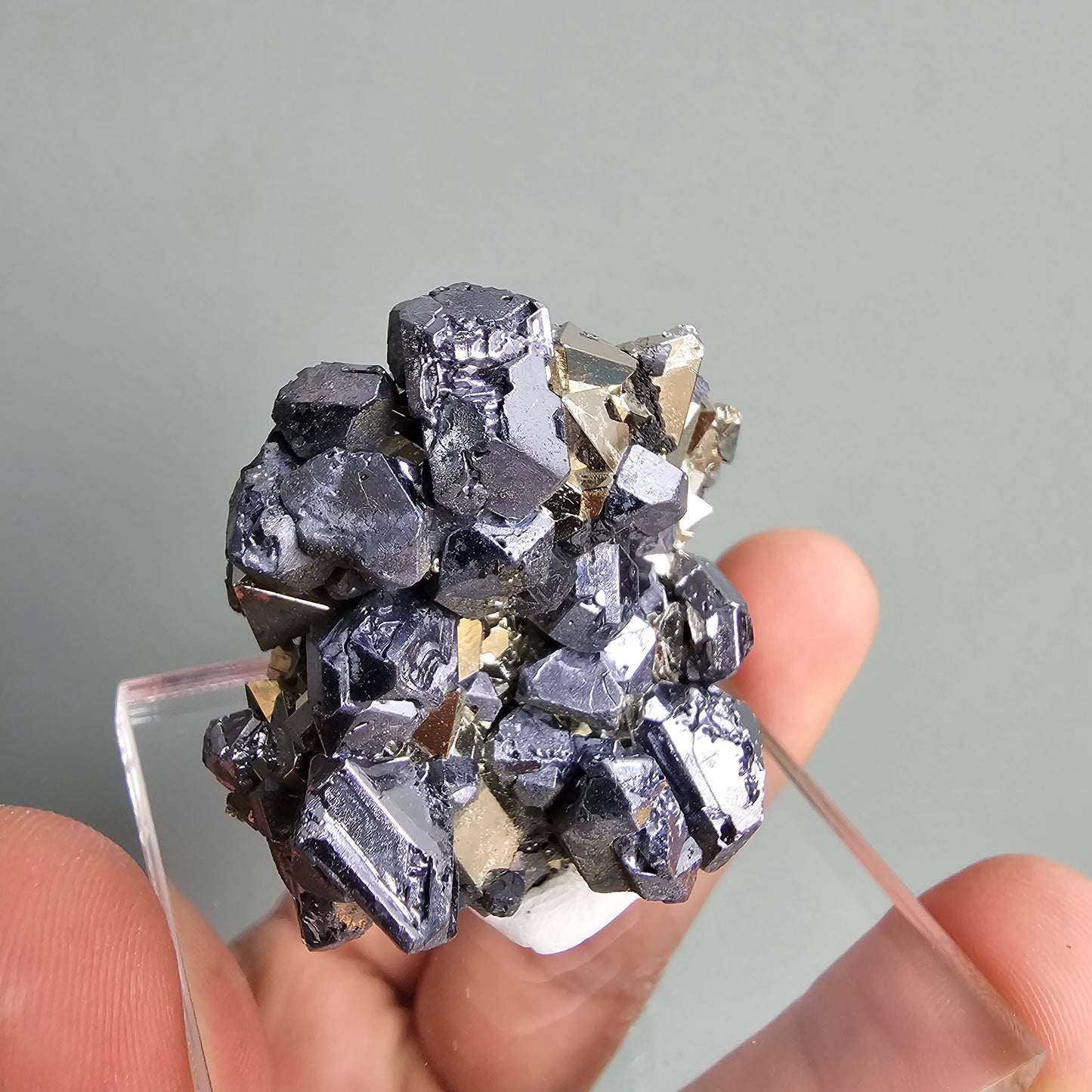 Galena with Pyrite octahedral