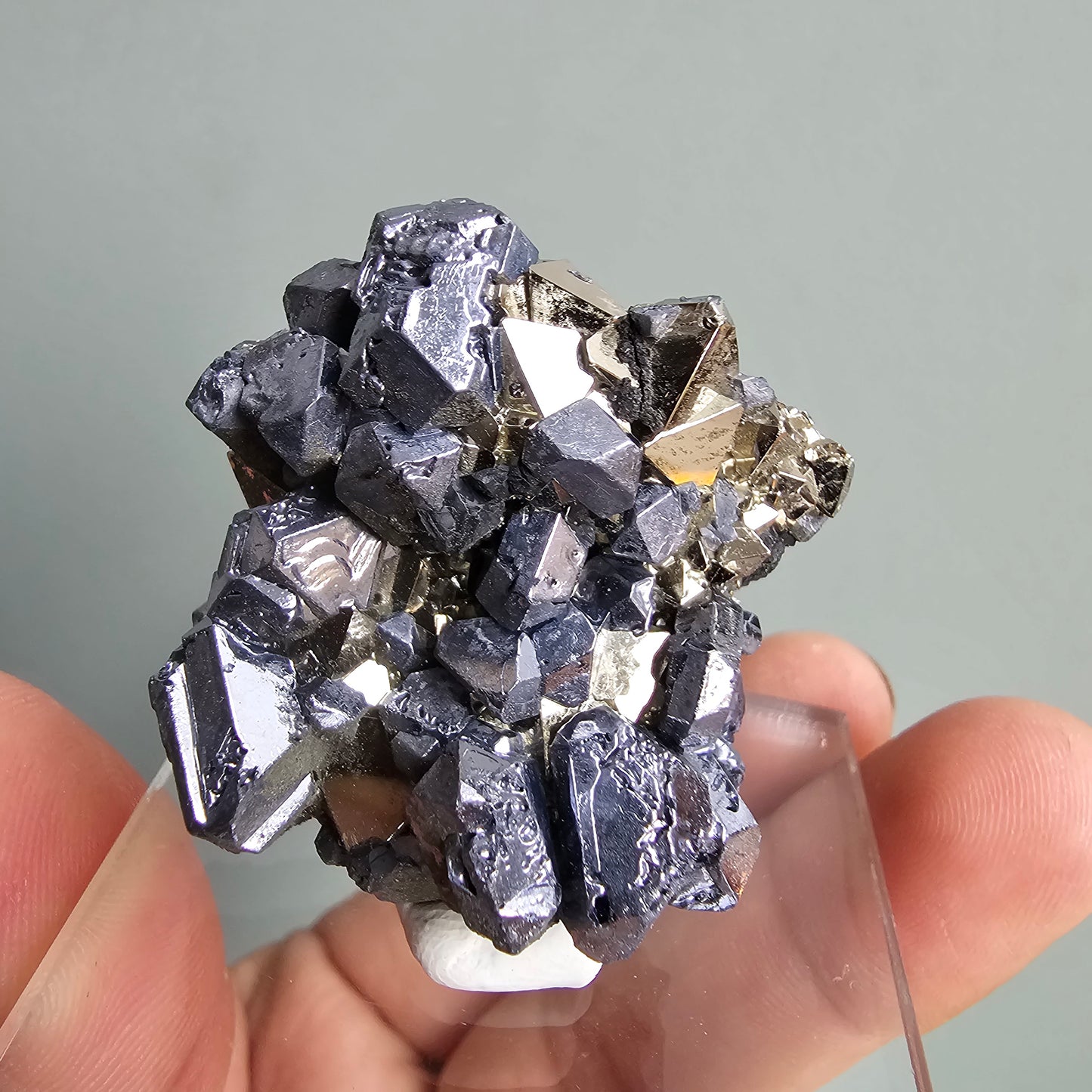 Galena with Pyrite octahedral