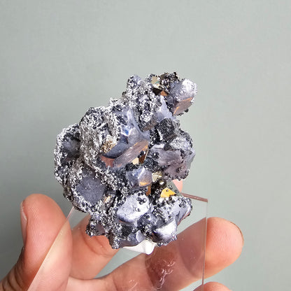 Galena with Pyrite octahedral