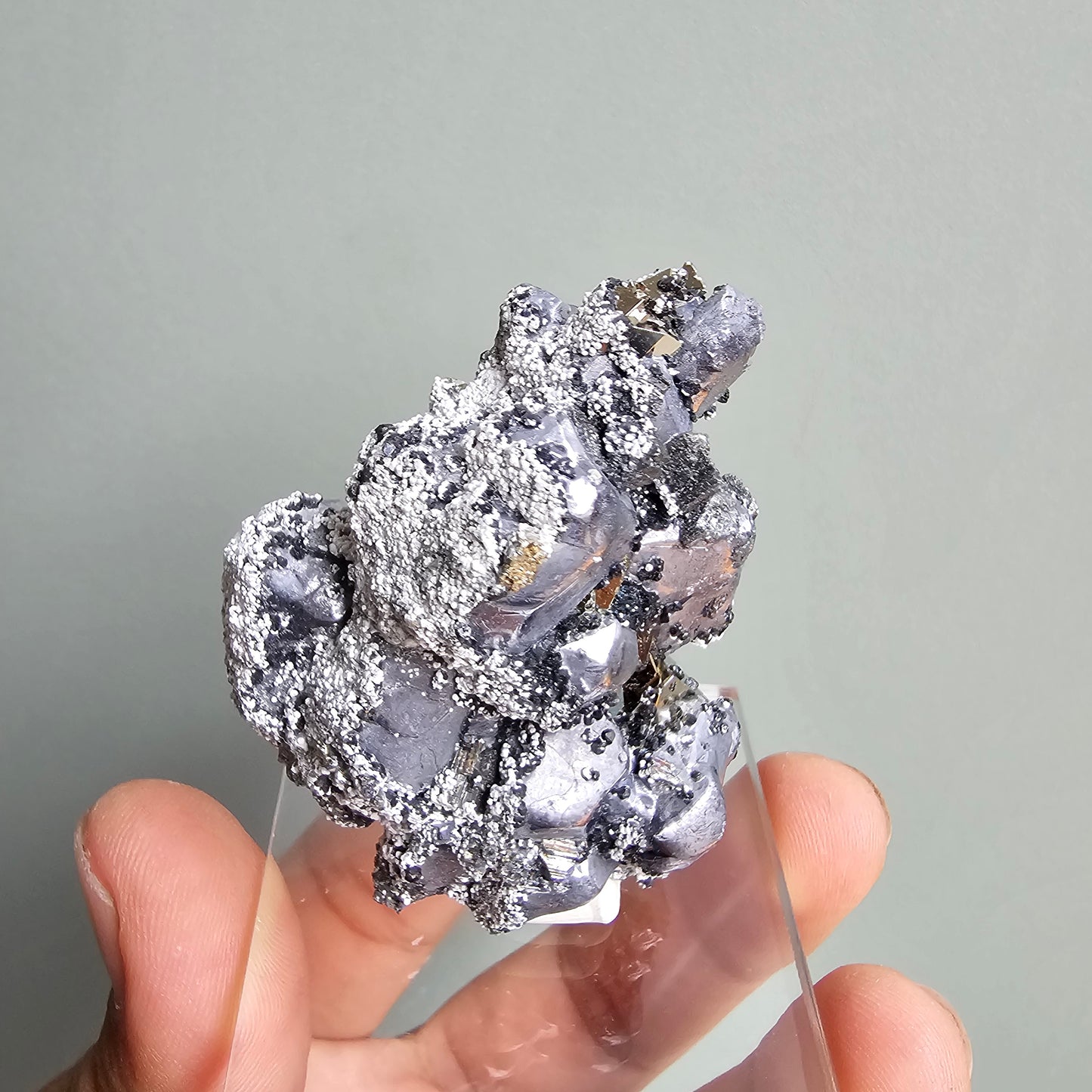 Galena with Pyrite octahedral