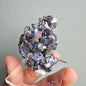 Galena with Pyrite octahedral