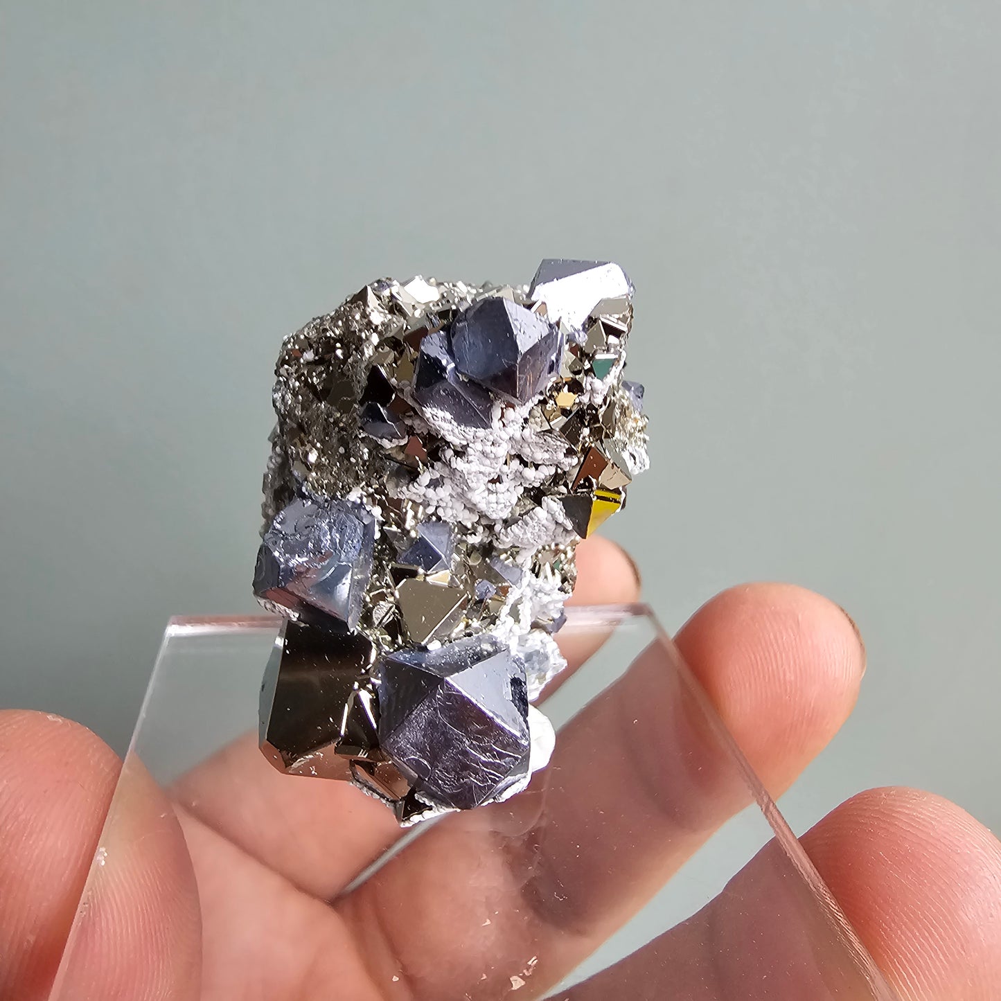 Galena with Pyrite octahedral