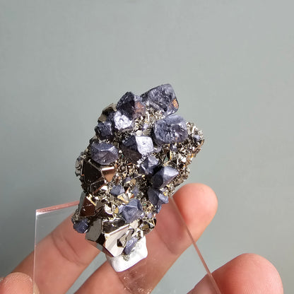 Galena with Pyrite octahedral