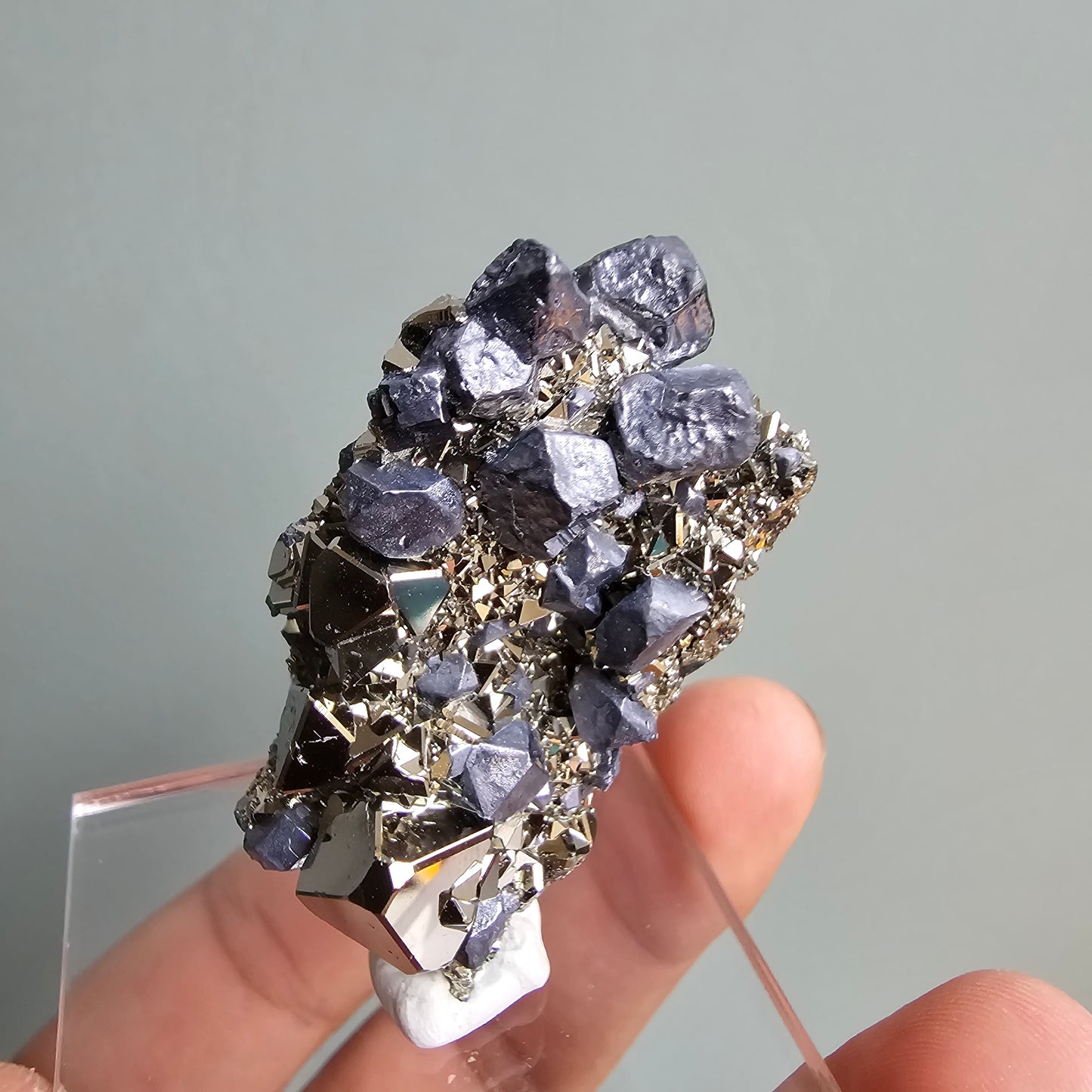 Galena with Pyrite octahedral