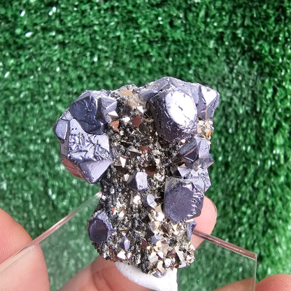 Galena with Pyrite octahedral