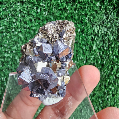 Galena with Pyrite octahedral