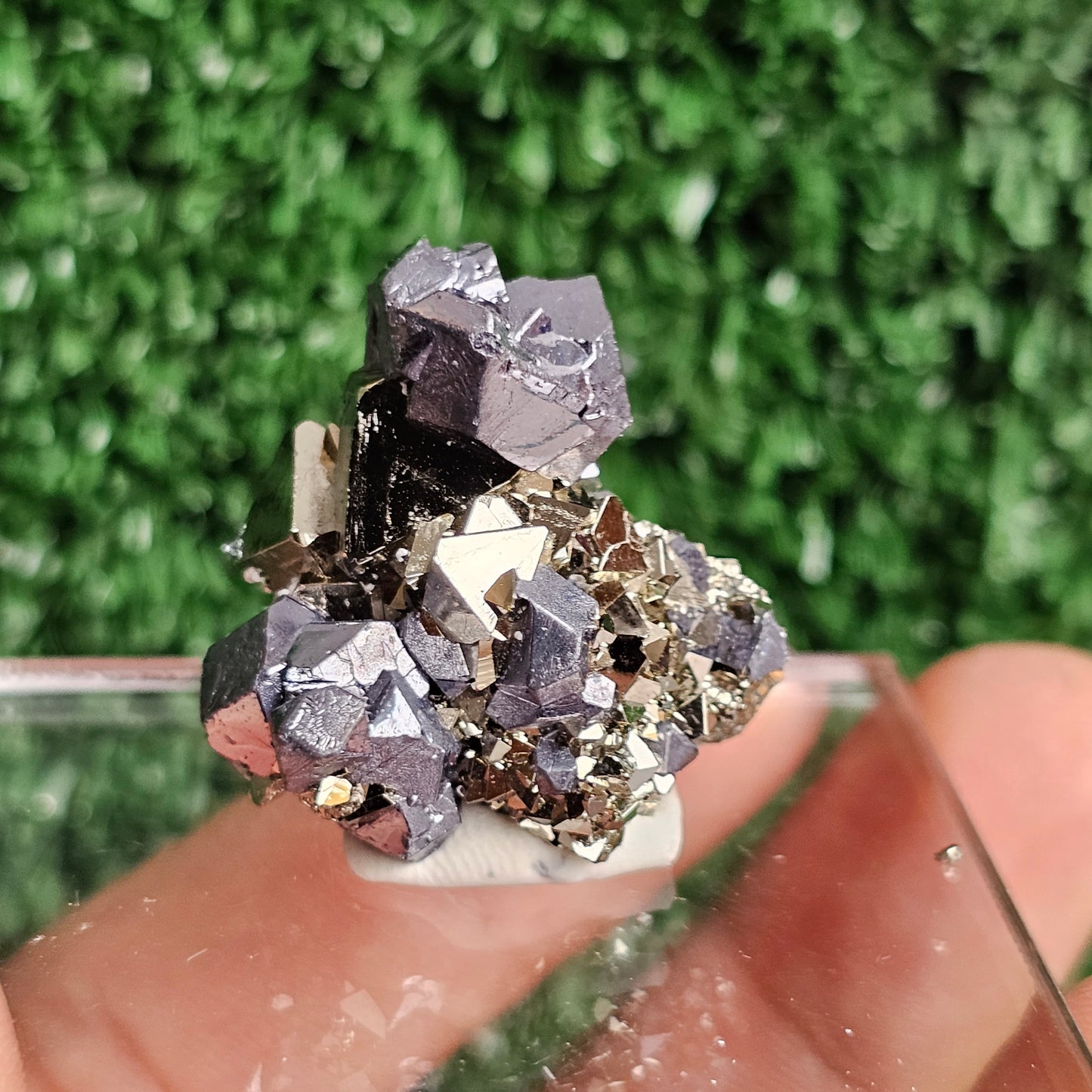 Galena with Pyrite octahedral