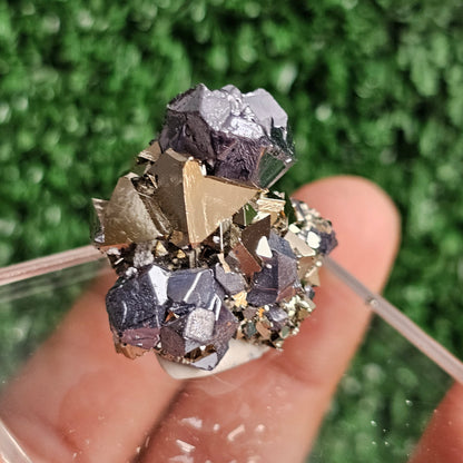 Galena with Pyrite octahedral