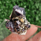 Galena with Pyrite octahedral