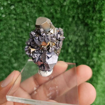 Galena with Pyrite octahedral