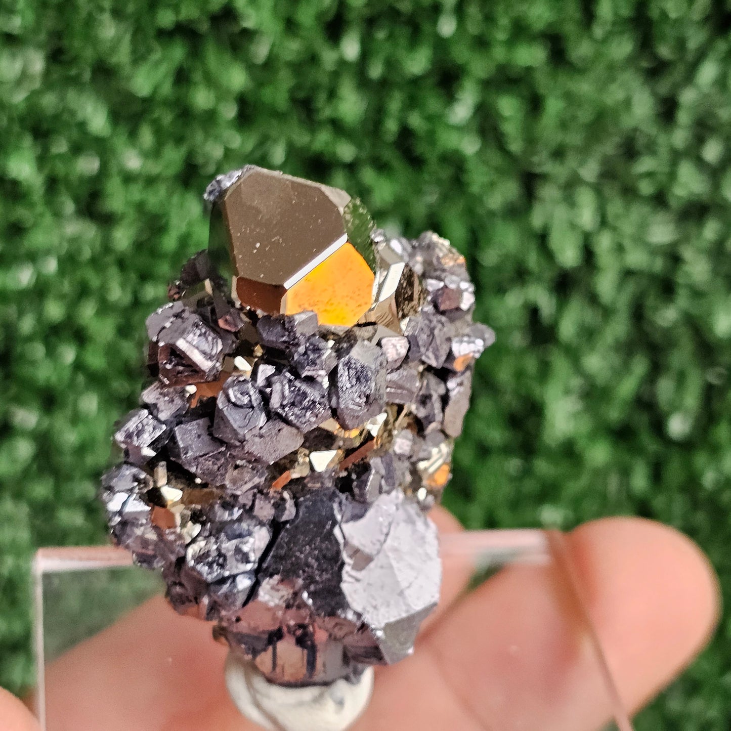 Galena with Pyrite octahedral