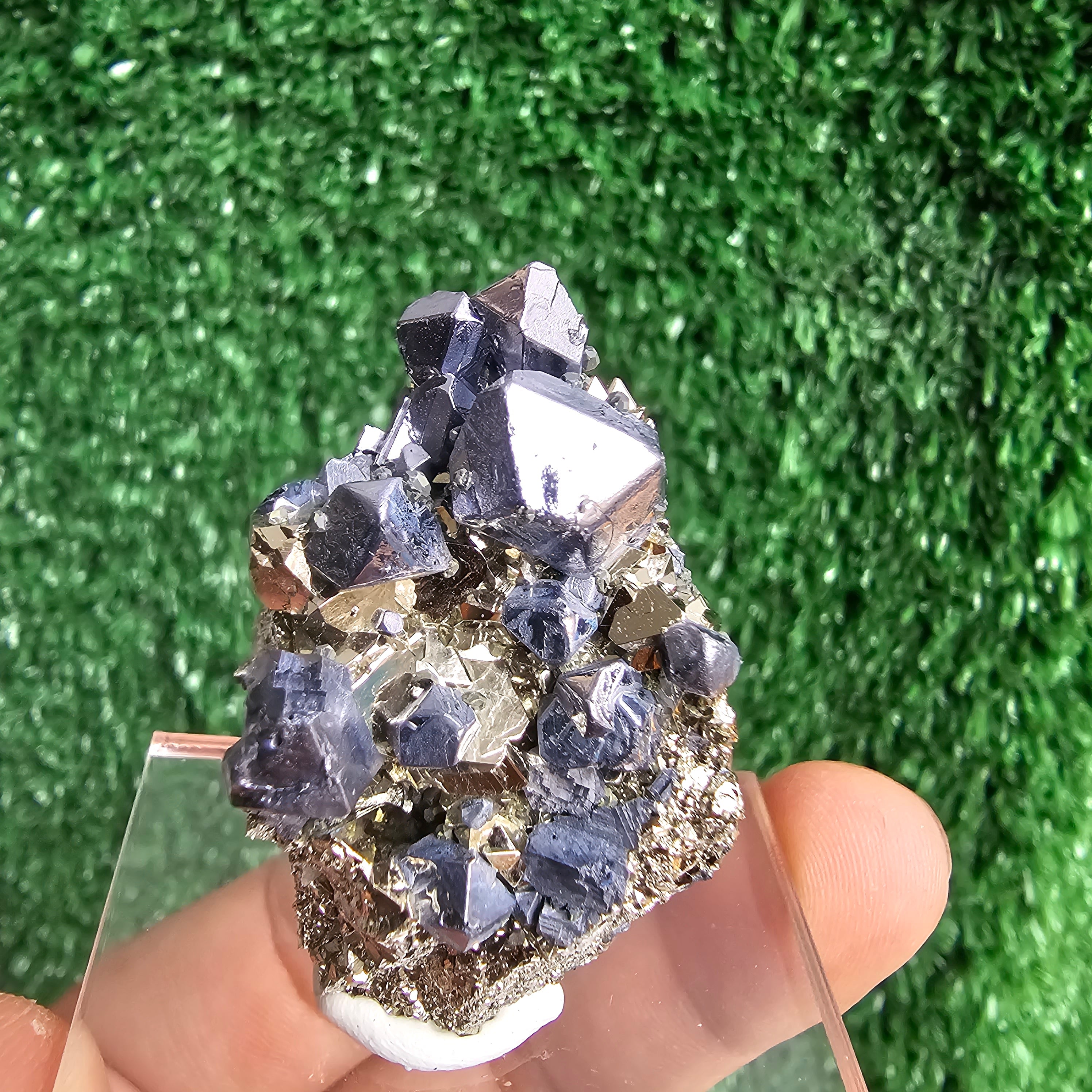Galena with Pyrite octahedral