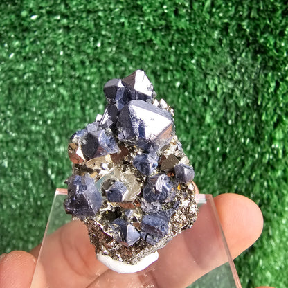 Galena with Pyrite octahedral