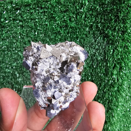 Galena with Pyrite octahedral