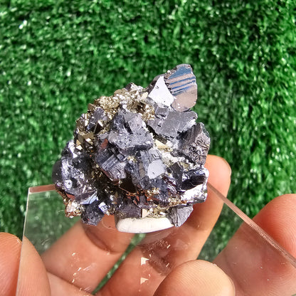 Galena with Pyrite octahedral