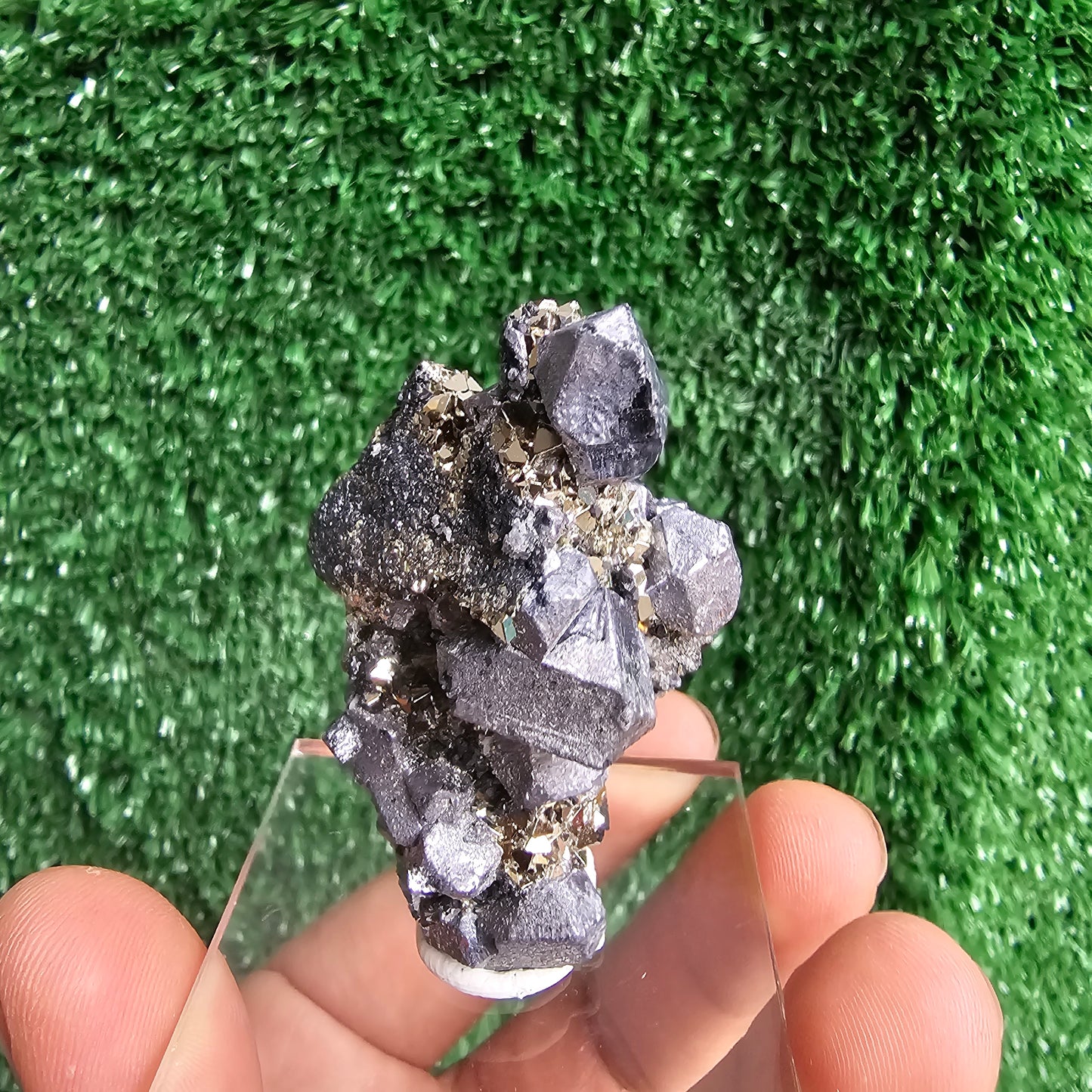 Galena with Pyrite octahedral