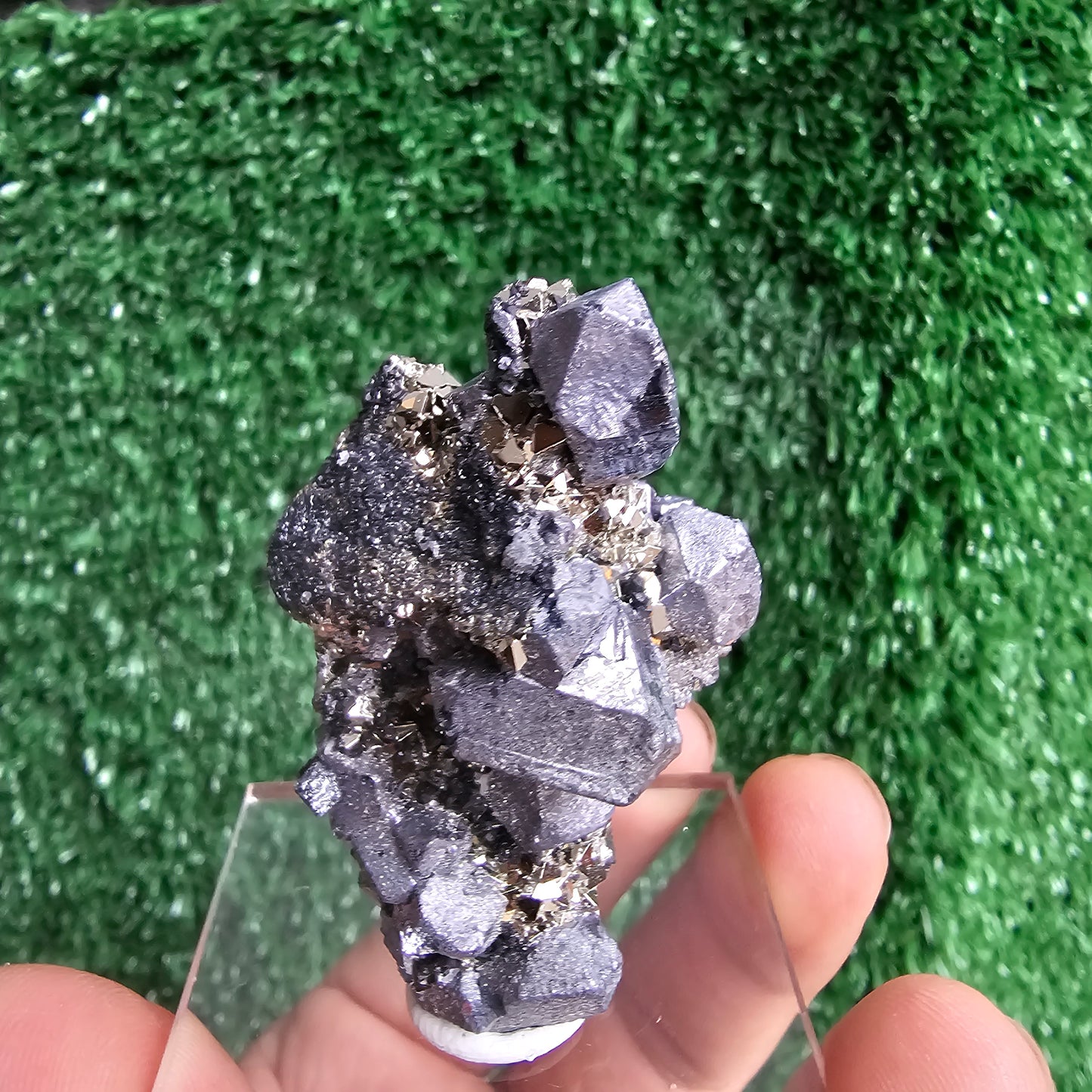 Galena with Pyrite octahedral