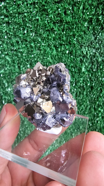 Galena with Pyrite octahedral