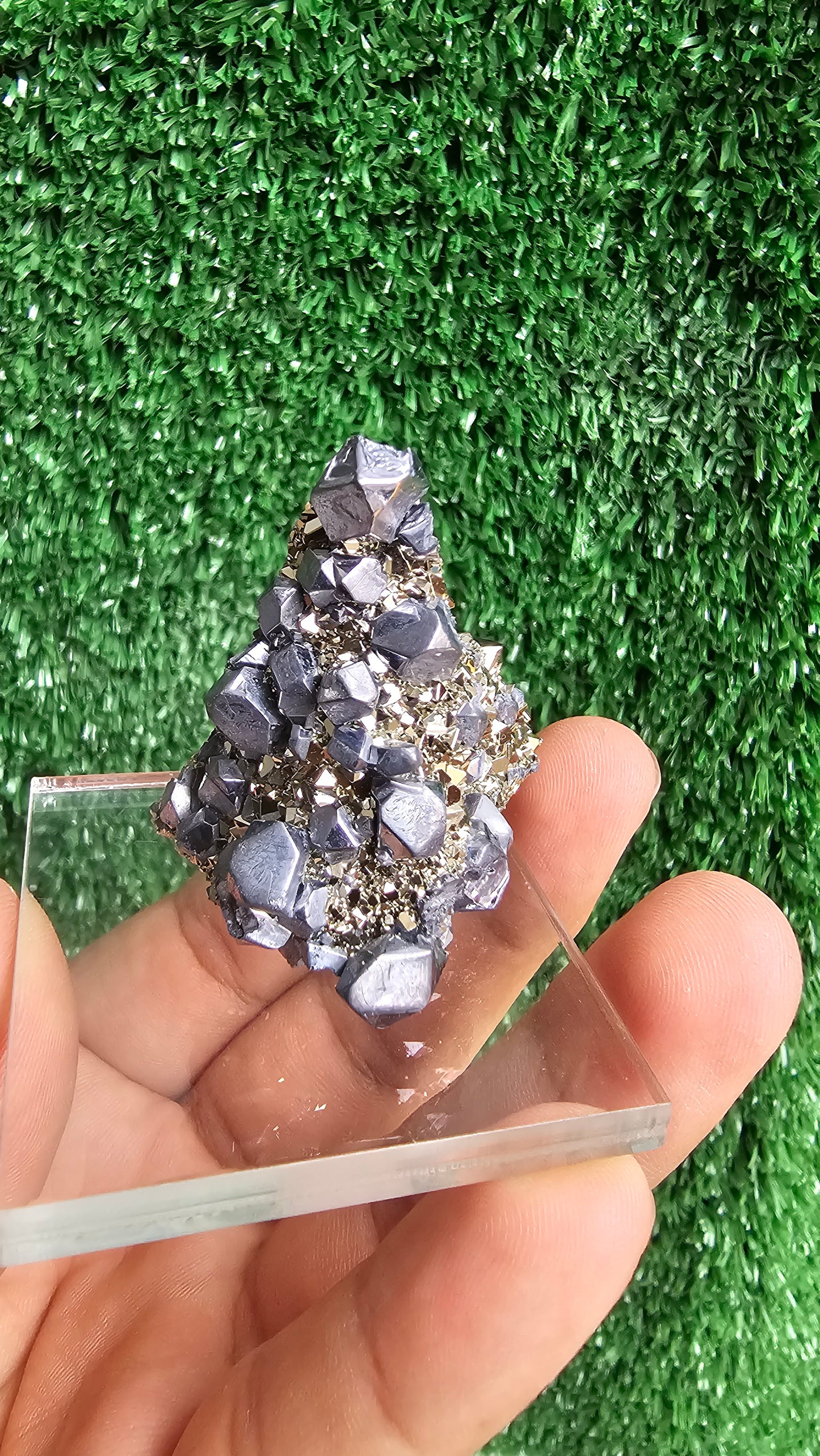 Galena with Pyrite octahedral