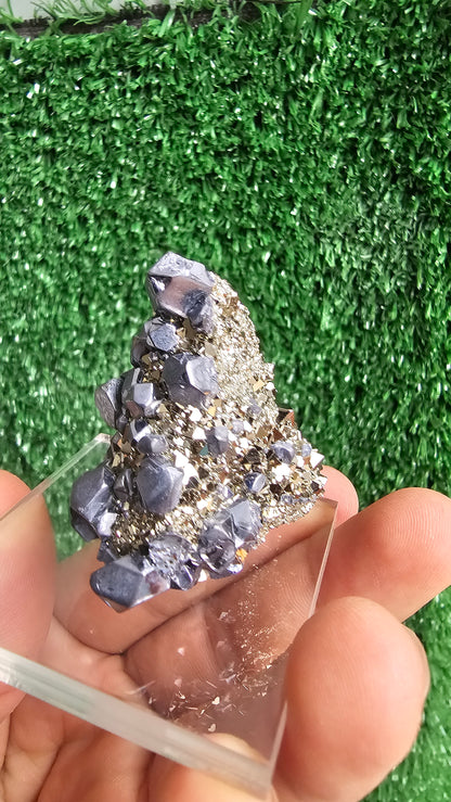 Galena with Pyrite octahedral