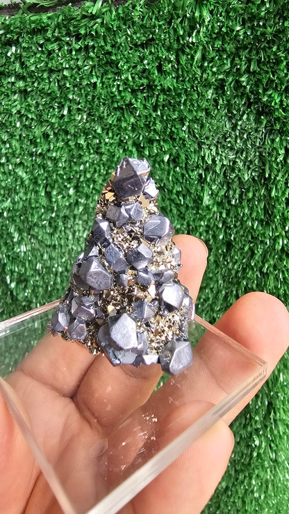 Galena with Pyrite octahedral