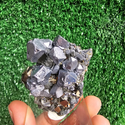 crystallized galena with Pyrite octahedral