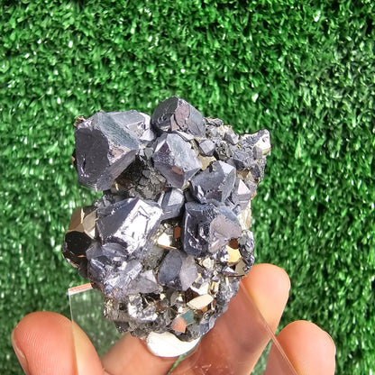 crystallized galena with Pyrite octahedral