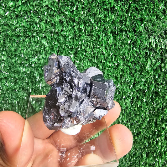 crystallized galena with Pyrite octahedral