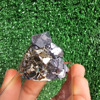 crystallized galena with Pyrite octahedral